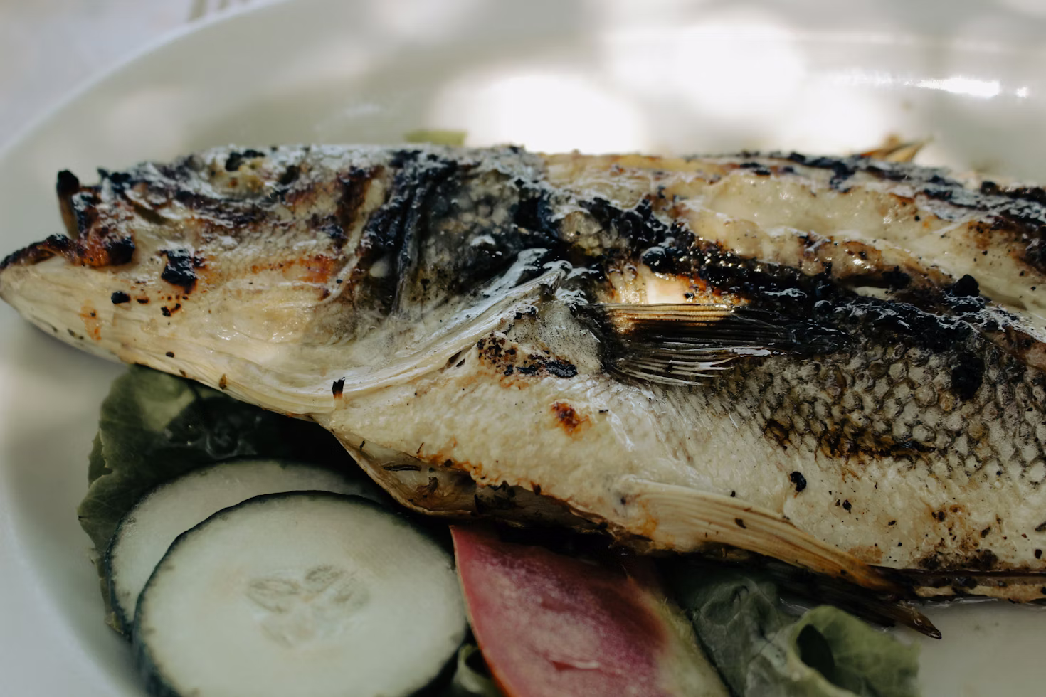 Grilled Sea Bass